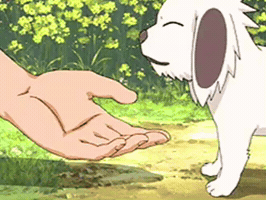 Dog GIF