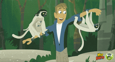 hanging out wild animals GIF by PBS KIDS