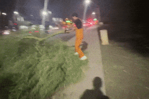 Zsggszzsg GIF