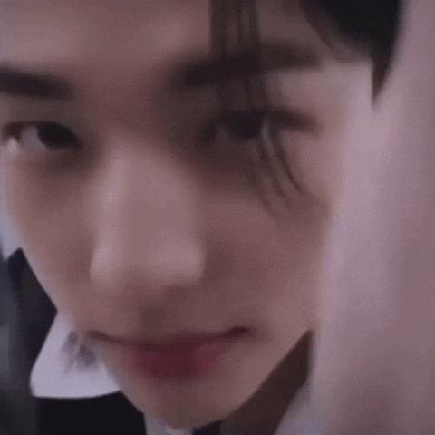 Skz Straykids GIF