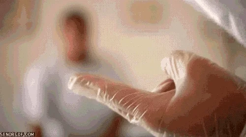 giphy.webp