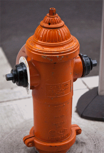 fire hydrants GIF by hateplow