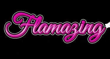 Flamingo Summer Baseball GIF by Florence Flamingos