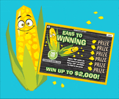 Corn Imn GIF by Minnesota Lottery