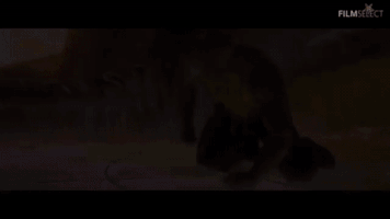 dustypendleton celebrate blog email marshall GIF