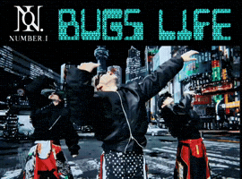 Bug Numberi GIF