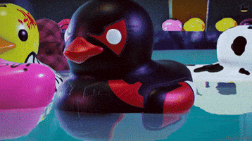 Ppds GIF