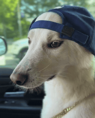 Eminem GIF