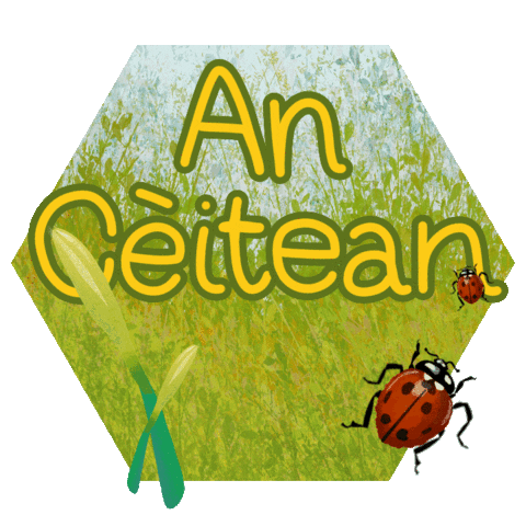 Gaelic May Sticker