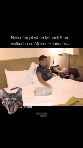 Cricket Australia GIF