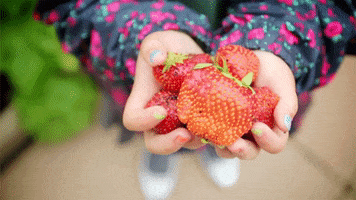 Fruit GIF