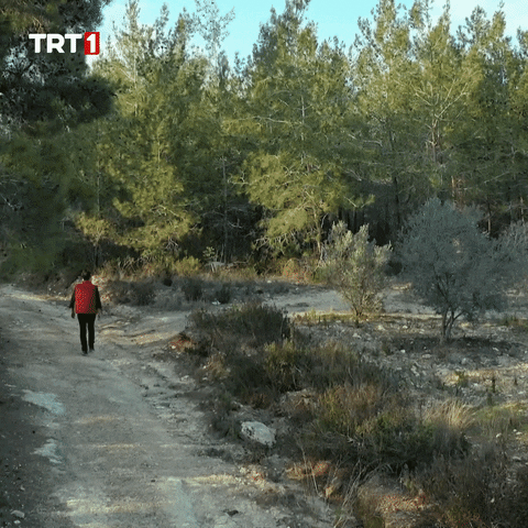 Walking Running GIF by TRT