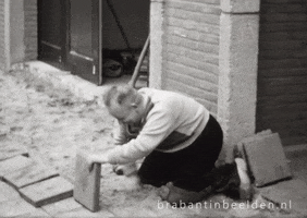 Vintage Reaction GIF by Brabant in Beelden