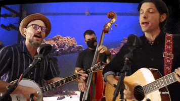 Adult Swim GIF by The Avett Brothers