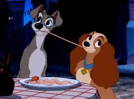 Disney gif. Tramp and Lady chew on opposite ends of a strand of spaghetti, drawing closer to each other until their muzzles touch and their eyes grow wide with surprise.