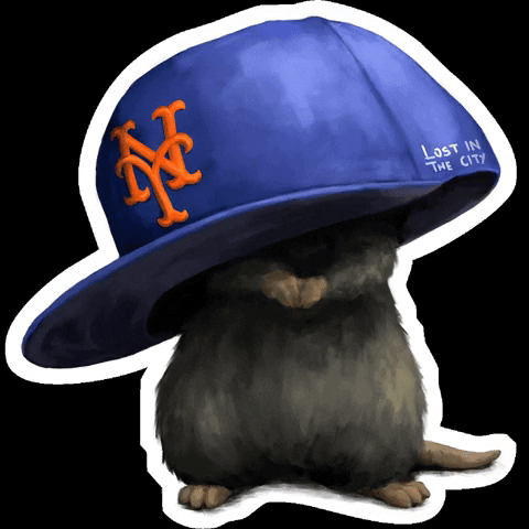 lostinthecity_ny nyc hat mouse new york city GIF