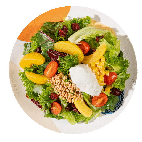 Salad Sticker by 스윗밸런스 sweetbalance