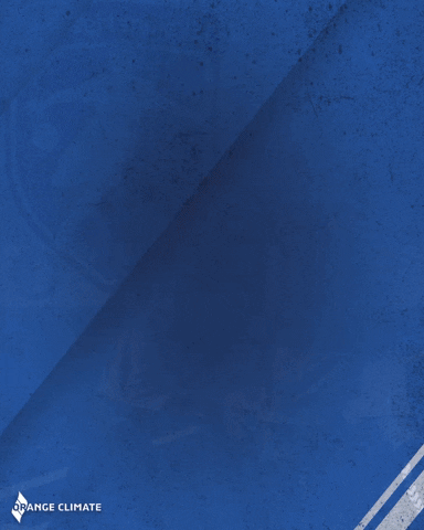 v.v. Neerlandia'31 GIF