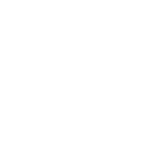 Disnove Volkswagen Sticker