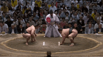 Sumo GIF