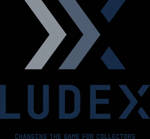 LUDEX GIF