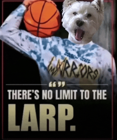 Dog Basketball GIF