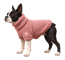 Boston Terrier Dogs Sticker by MISTER WOOF