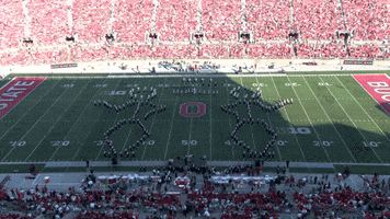 College Football Dancing GIF by tbdbitl