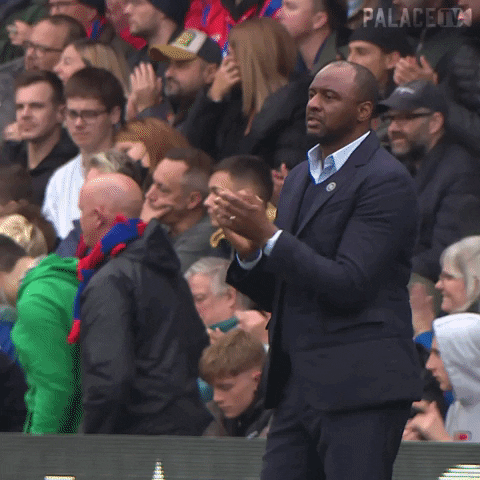 Happy Premier League GIF by CPFC