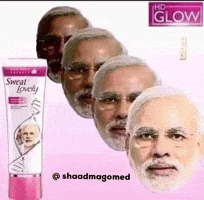 India Flag Politics GIF