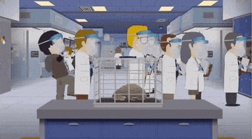 Infectious Disease Randy Marsh GIF by South Park