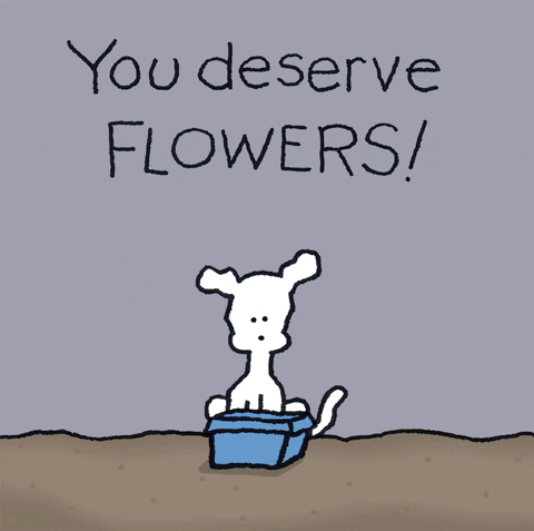 Pohybující se kreslený bílý pejsek s barevnými květinami a anglickým nápisem You deserve Flowers!