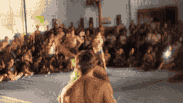 giphy.gif?cid=790b76115cdbcc676e2f43702e