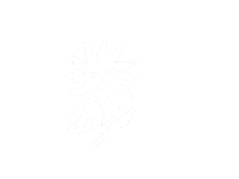 Art Love Sticker by Kayo Travel