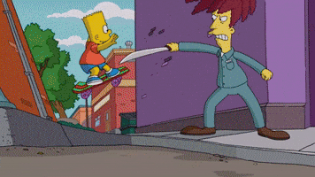 Skating The Simpsons GIF by AniDom