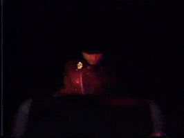Alan Vega GIF
