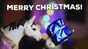 Happy Merry Christmas GIF by Skint Dressage Daddy