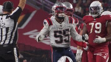 Football Celebration GIF by New England Patriots