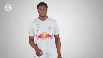 Football Be Quiet GIF by FC Red Bull Salzburg