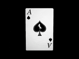 DoubleDown Interactive GIF