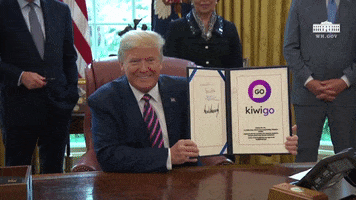 Donald Trump GIF by KiwiGo (KGO)