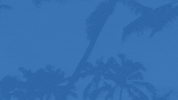 App Bible GIF by Mariners Church