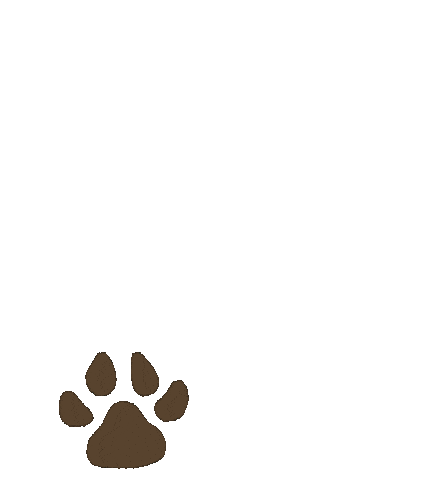 Nuggie Paw Shop Sticker