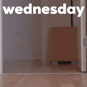 Wednesday Morning Dog GIF by Sealed With A GIF