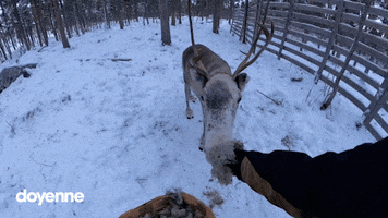 Doyenne Virtual Tours GIF