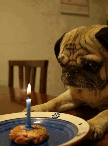 Cómo celebras tu cumpleaños