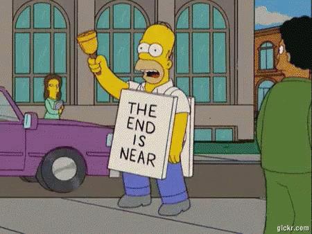 the sky is falling homer GIF