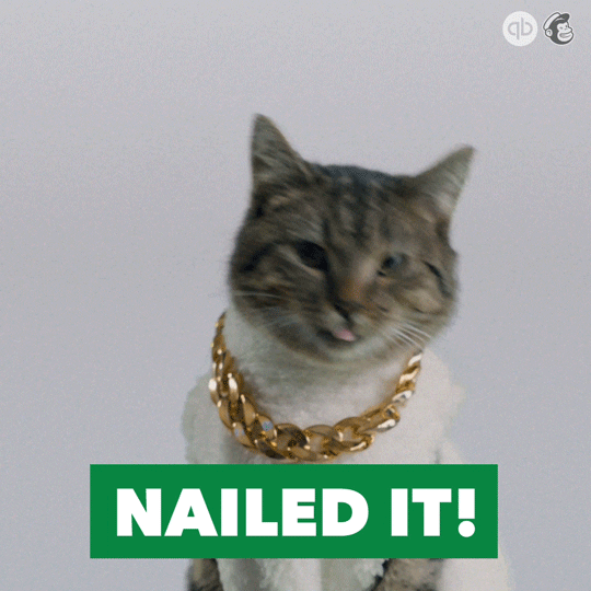 Dj-kitty GIFs - Get the best GIF on GIPHY