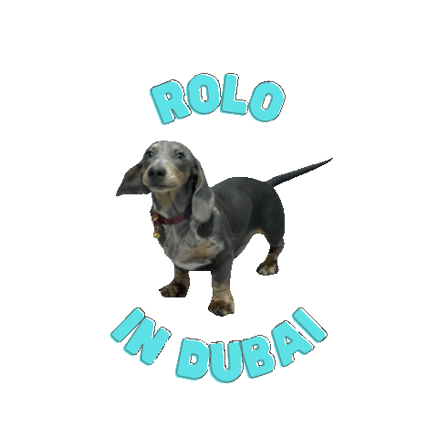 Puppy Sticker by Soul Surf