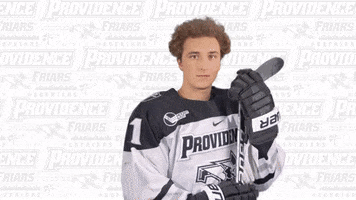 Michael Stick GIF by Providence Friars